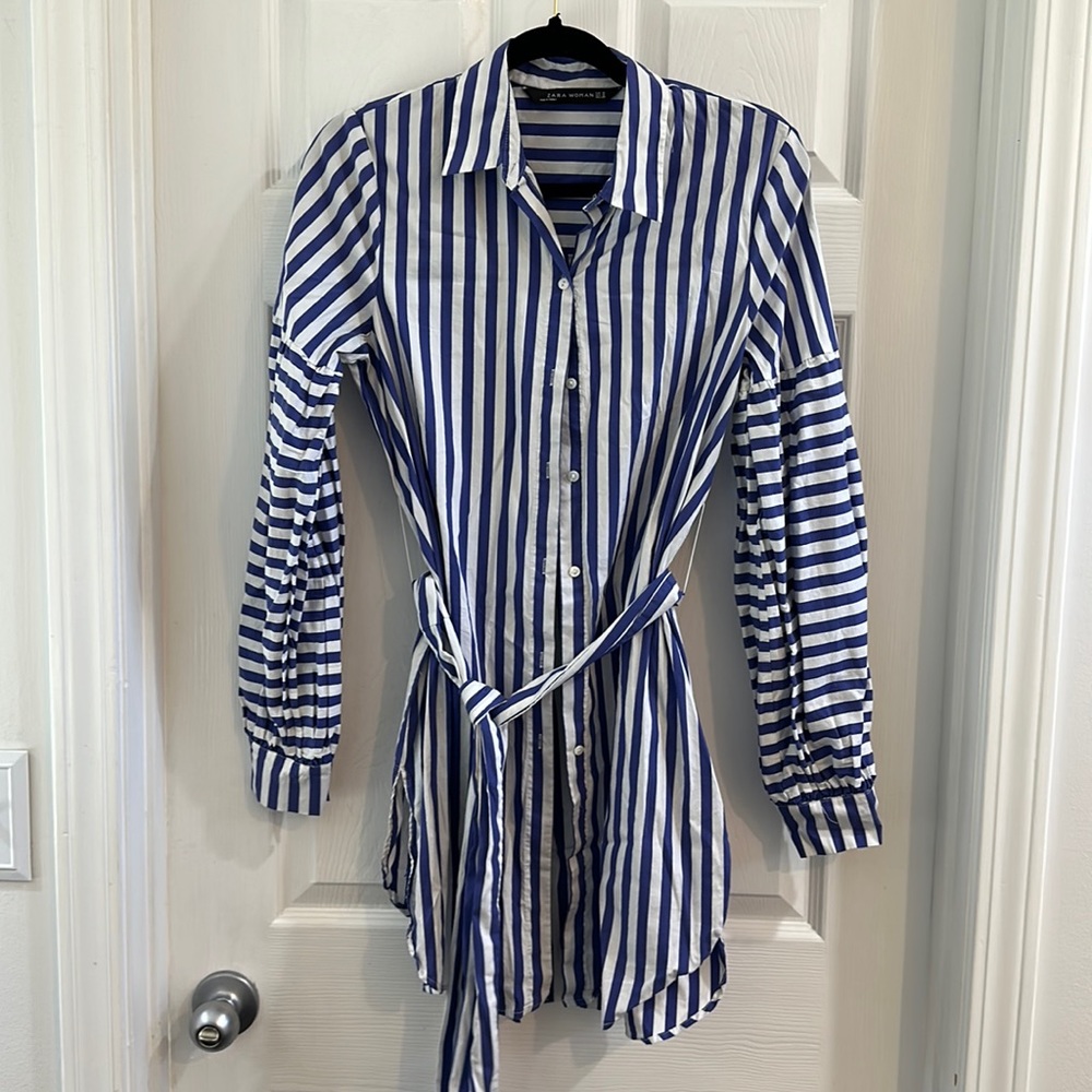 Zara Balloon Sleeve Button Down Tunic
